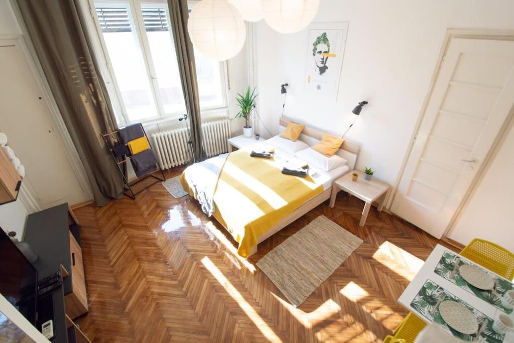 Pavla Papa Studio - Bright & Central Novi Sad Buitenkant foto