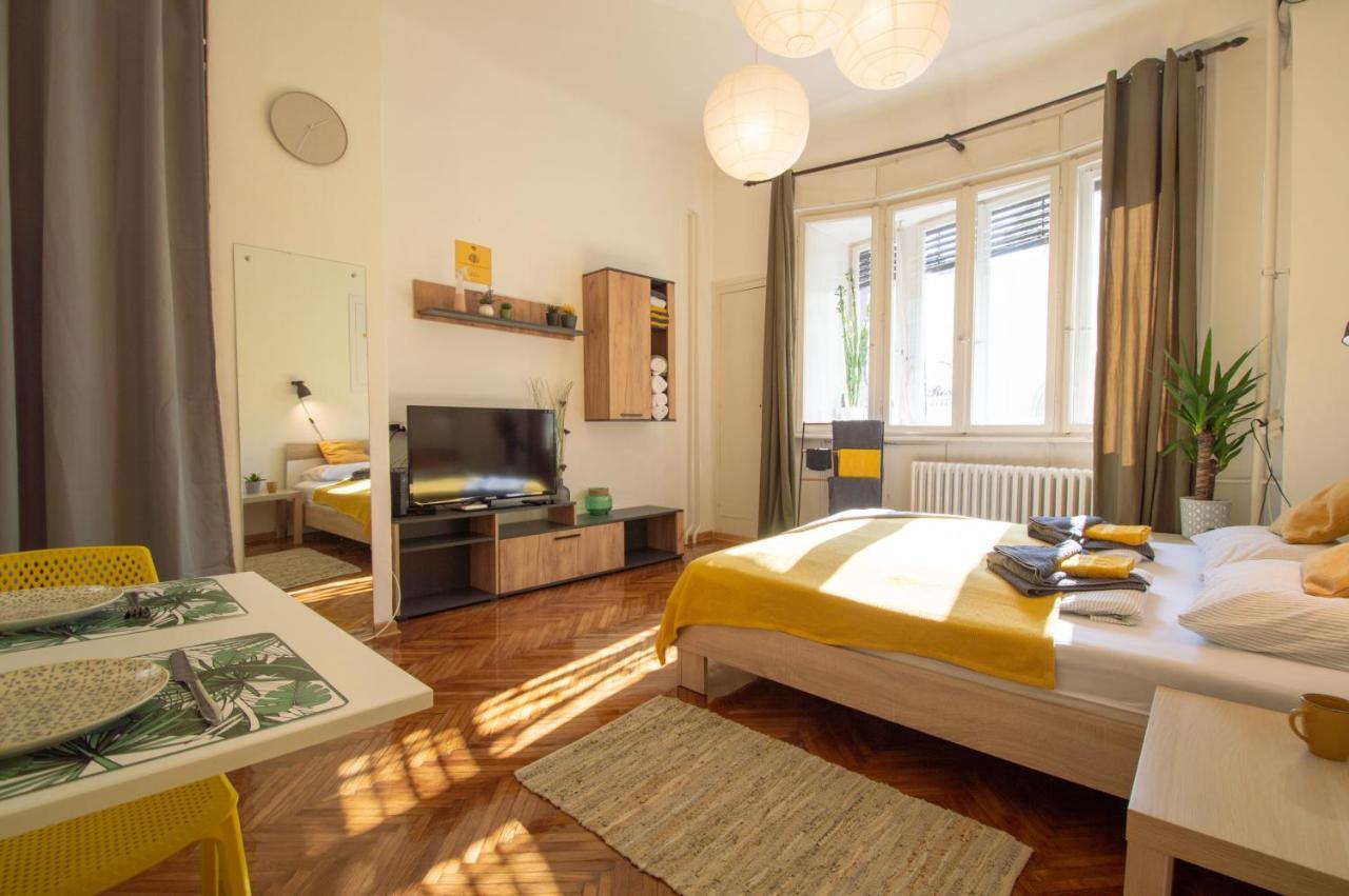 Pavla Papa Studio - Bright & Central Novi Sad Buitenkant foto